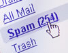 No Spam!